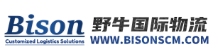 上海野牛国际货运代理有限公司